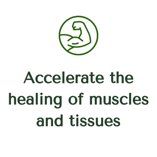 Accelerate Healing Muscles and Tissues NAD